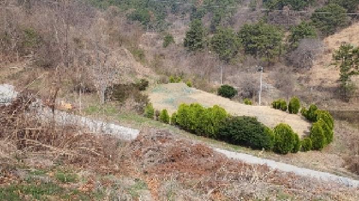 경상남도 창원시 마산합포구 진동면 신기리 600-2 전 경매 사진 12