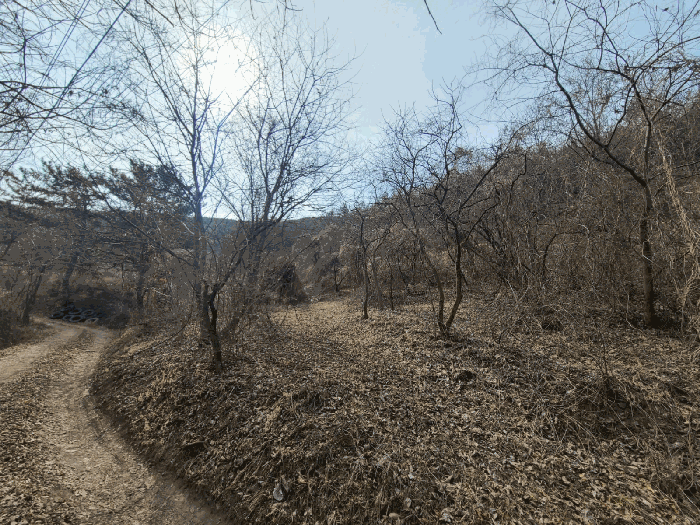 경상남도 의령군 정곡면 성황리 산64 임야 경매 사진 26