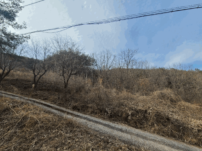 경상남도 의령군 정곡면 성황리 산64 임야 경매 사진 23