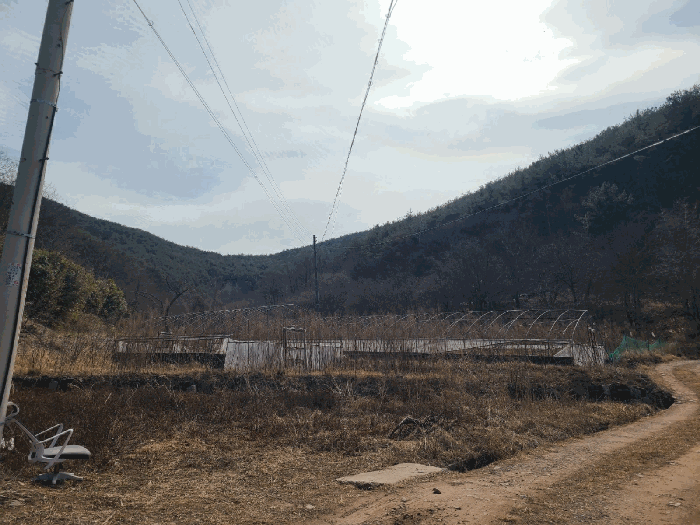 경상남도 의령군 정곡면 성황리 산64 임야 경매 사진 25
