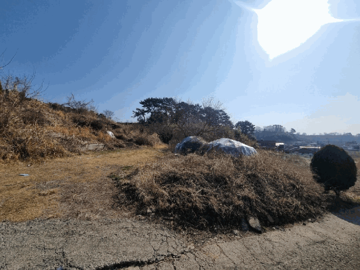 경상남도 창원시 마산합포구 진동면 신기리 252 답 경매 사진 4