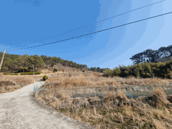 경상남도 창원시 마산합포구 진동면 신기리 252 답 경매 사진 5