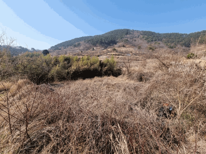 경상남도 창원시 마산합포구 진동면 신기리 252 답 경매 사진 6