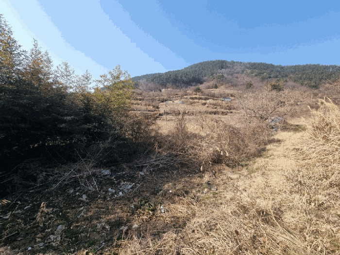 경상남도 창원시 마산합포구 진동면 신기리 252 답 경매 사진 7