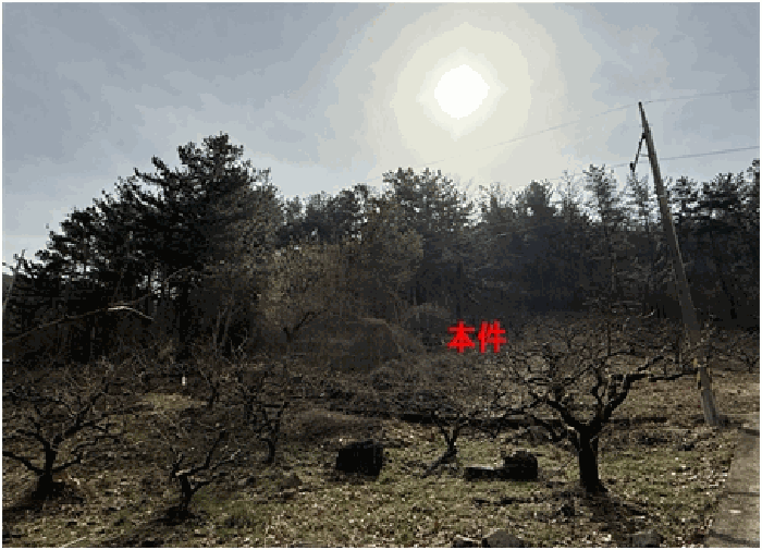 경상남도 함안군 칠북면 이령리 산151 임야 경매 사진 16