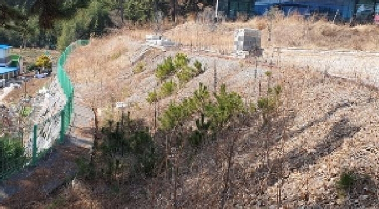 경상남도 창원시 마산합포구 덕동동 47-5 외 3필지 근린생활시설 경매 사진 10