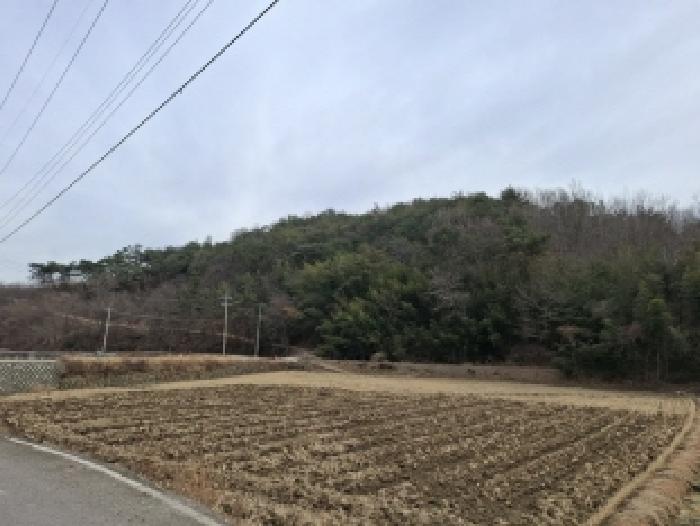 경상남도 사천시 곤양면 대진리 산62-2 임야 경매 사진 19