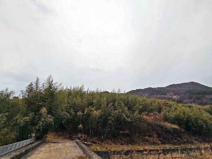 경상남도 하동군 악양면 평사리 916-1 임야 경매 사진 16