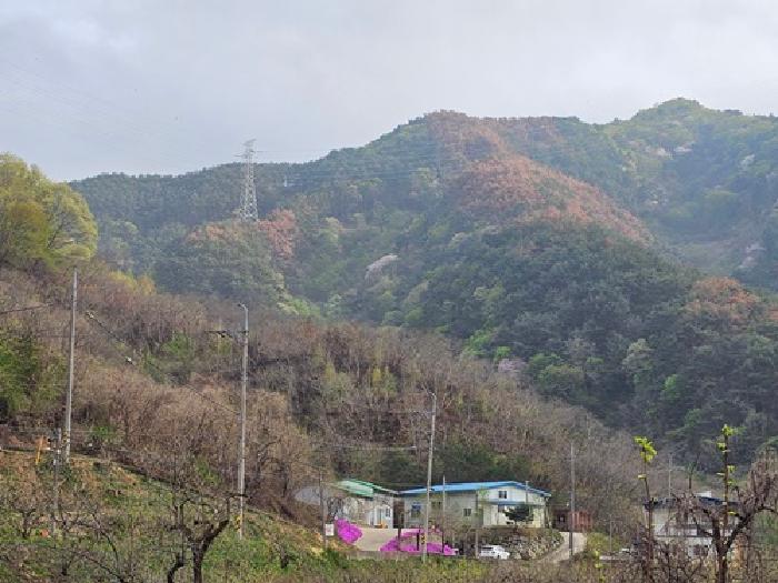 경상남도 산청군 시천면 중태리 713-1 외 1필지 기타 경매 사진 3