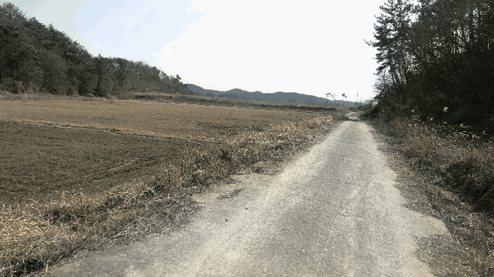 경상남도 하동군 진교면 양포리 20-18 답 경매 사진 10