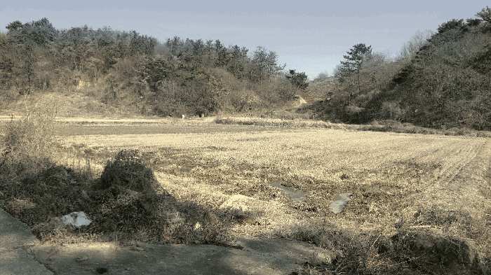 경상남도 하동군 진교면 양포리 20-18 답 경매 사진 11