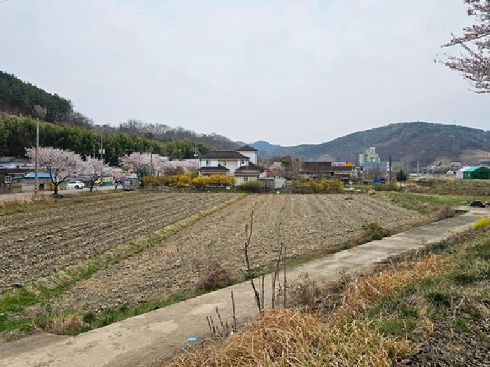 경상남도 진주시 대곡면 광석리 355-3 답 경매 사진 27