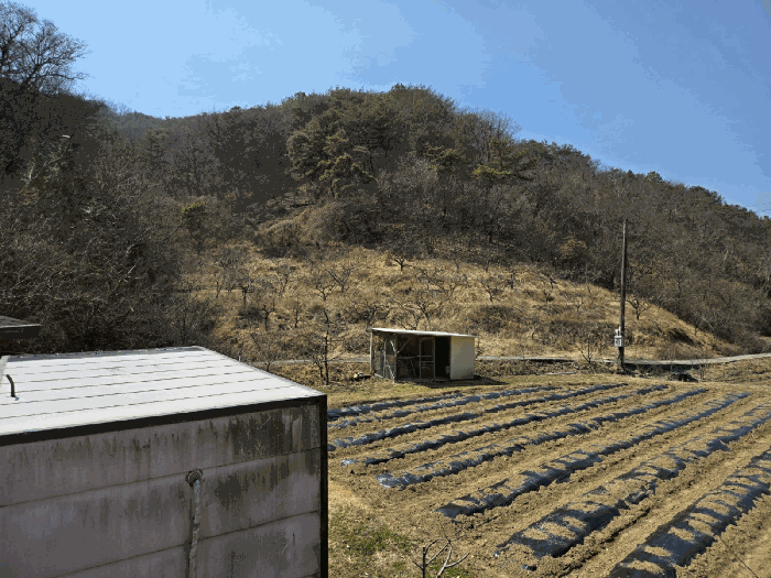 경상남도 산청군 신등면 간공리 18 답 경매 사진 45