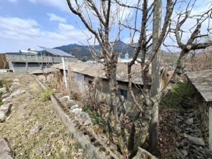 경상남도 사천시 죽림동 236-11 외 1필지 단독주택 경매 사진 3