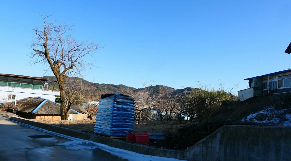 경상남도 산청군 단성면 자양리 214 외 2필지 단독주택 경매 사진 1