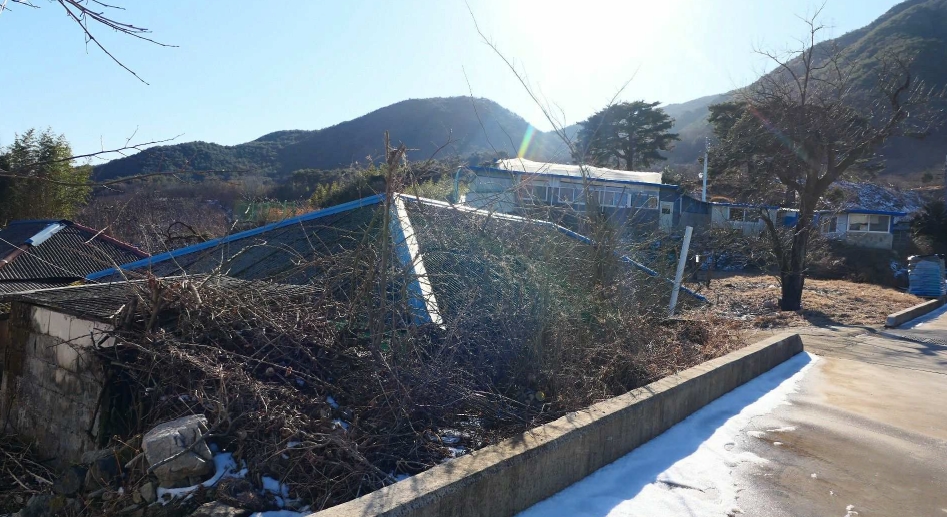 경상남도 산청군 단성면 자양리 214 외 2필지 단독주택 경매 사진 3