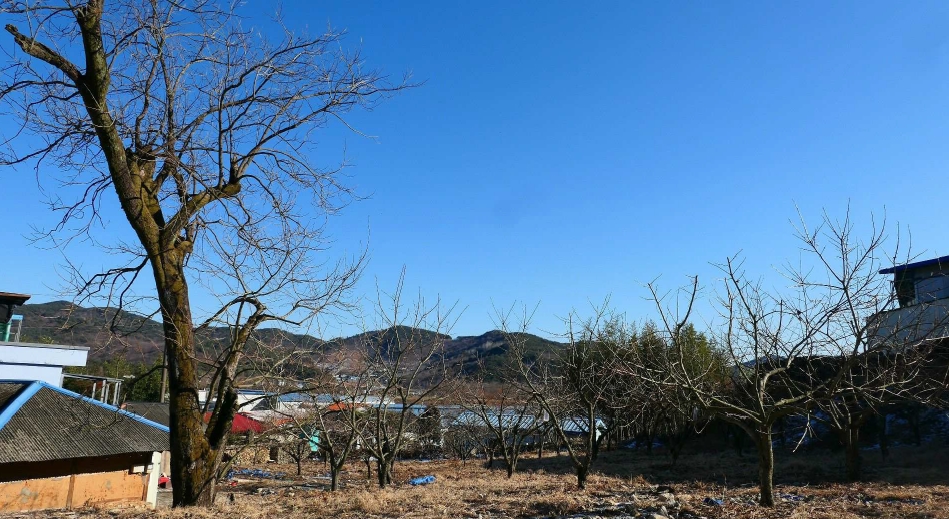 경상남도 산청군 단성면 자양리 214 외 2필지 단독주택 경매 사진 5