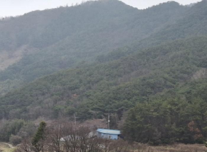 경상남도 남해군 서면 정포리 산18-1 임야 경매 사진 9