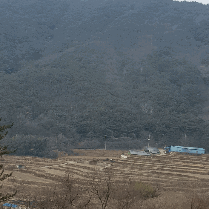경상남도 남해군 서면 정포리 산18-1 임야 경매 사진 11