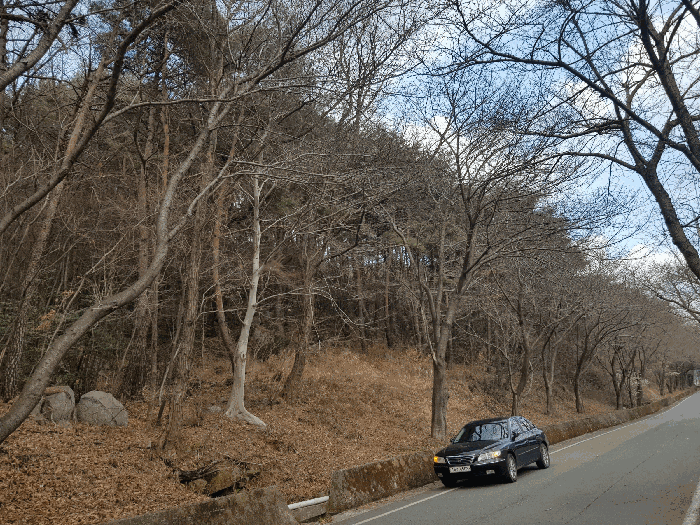 경상남도 남해군 서면 정포리 산18-1 임야 경매 사진 12