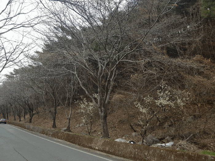 경상남도 남해군 서면 정포리 산18-1 임야 경매 사진 13