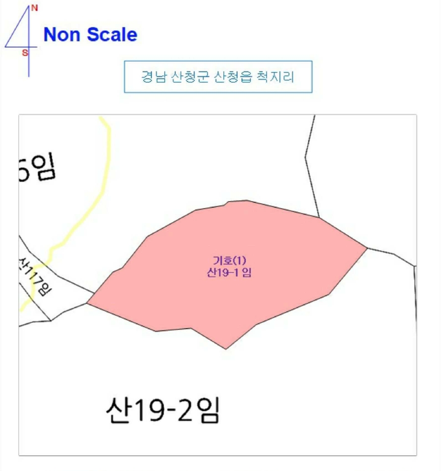 경상남도 산청군 산청읍 척지리 산19-1 임야 경매 사진 15