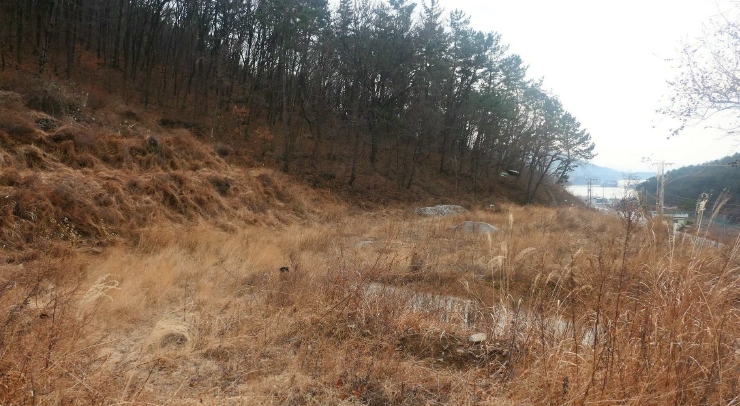 경상남도 사천시 실안동 318 전 경매 사진 10