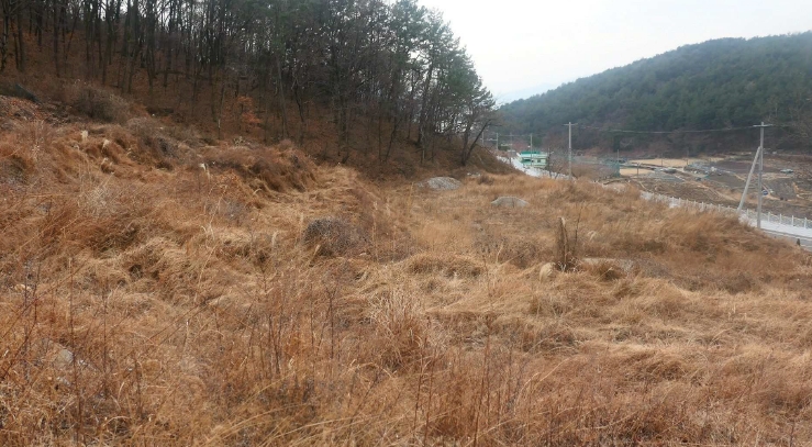 경상남도 사천시 실안동 318 전 경매 사진 12