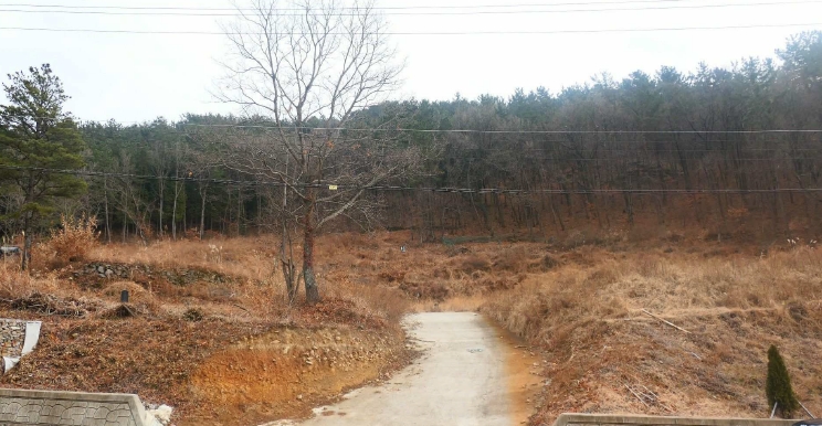 경상남도 사천시 실안동 318 전 경매 사진 13