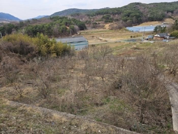경상남도 산청군 단성면 입석리 579 외 8필지 공장 경매 사진 14