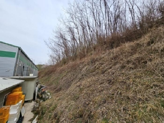 경상남도 산청군 단성면 입석리 579 외 8필지 공장 경매 사진 8