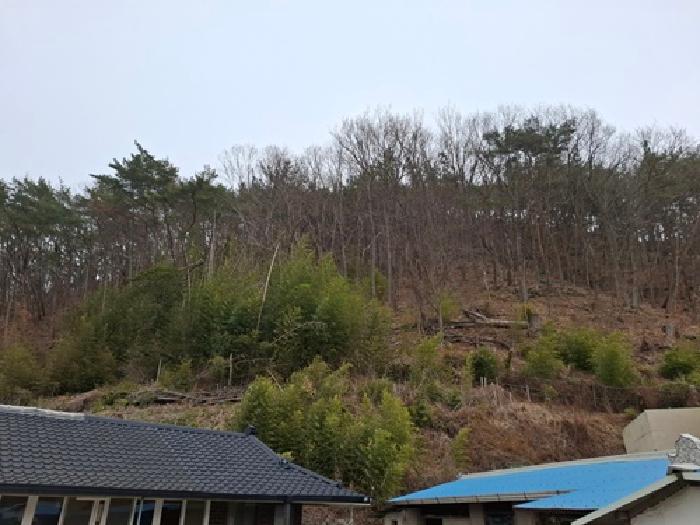 경상남도 사천시 곤양면 서정리 217 외 3필지 답 경매 사진 2