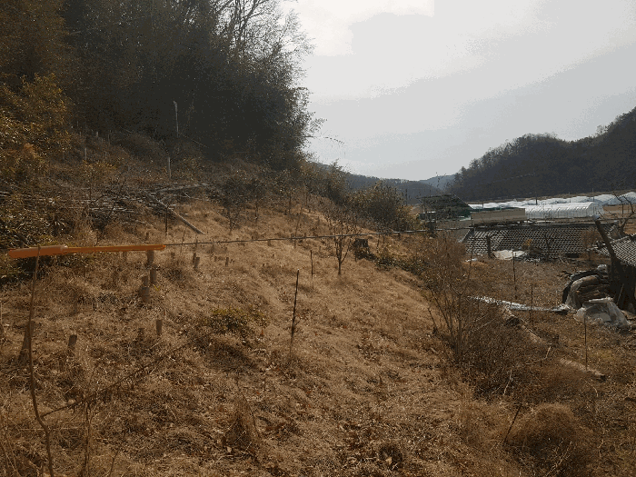 경상남도 사천시 곤양면 서정리 217 외 3필지 답 경매 사진 14
