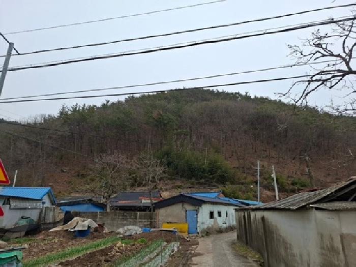 경상남도 사천시 곤양면 서정리 217 외 3필지 답 경매 사진 3