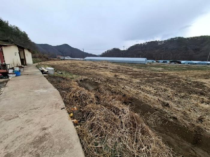 경상남도 사천시 곤양면 서정리 217 외 3필지 답 경매 사진 6
