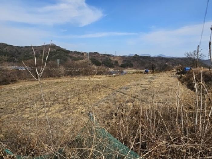 경상남도 산청군 신등면 모례리 497-2 외 1필지 전 경매 사진 2