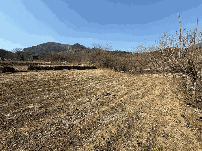 경상남도 산청군 신등면 모례리 497-2 외 1필지 전 경매 사진 4