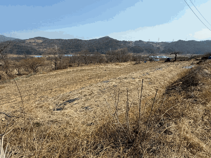 경상남도 산청군 신등면 모례리 497-2 외 1필지 전 경매 사진 6