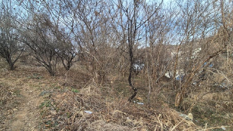 경상남도 진주시 하대동 663-2 외 2필지 전 경매 사진 7