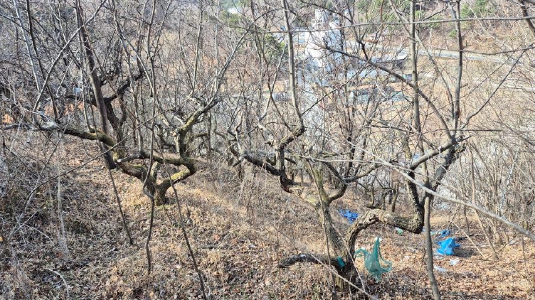 경상남도 진주시 하대동 663-2 외 2필지 전 경매 사진 8