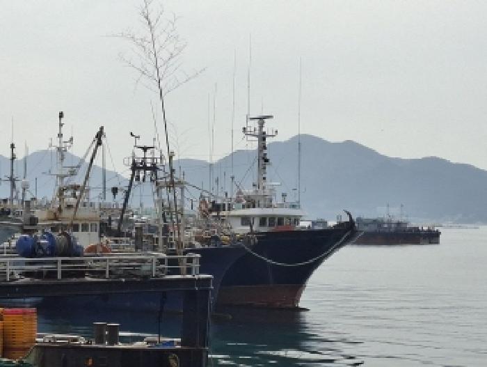 경상남도 사천시 서금동 127-10, 앞 해상 삼천포항(삼천포전통수산시장) 안벽 계류 선박 경매 사진 1