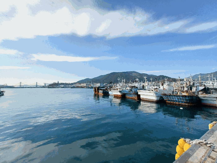 경상남도 사천시 서금동 127-10, 앞 해상 삼천포항(삼천포전통수산시장) 안벽 계류 선박 경매 사진 7