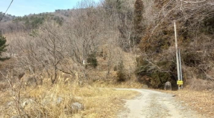 경상남도 거제시 아주동 산72 임야 경매 사진 1