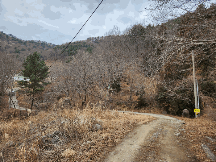 경상남도 거제시 아주동 산72 임야 경매 사진 3