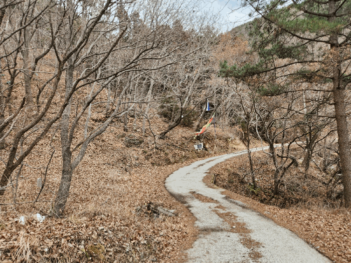 경상남도 거제시 아주동 산72 임야 경매 사진 5