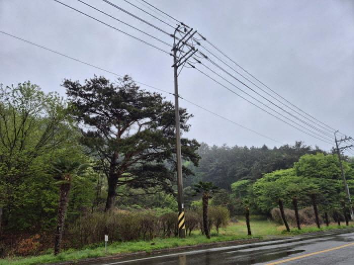 경상남도 고성군 동해면 장기리 산191 임야 경매 사진 12