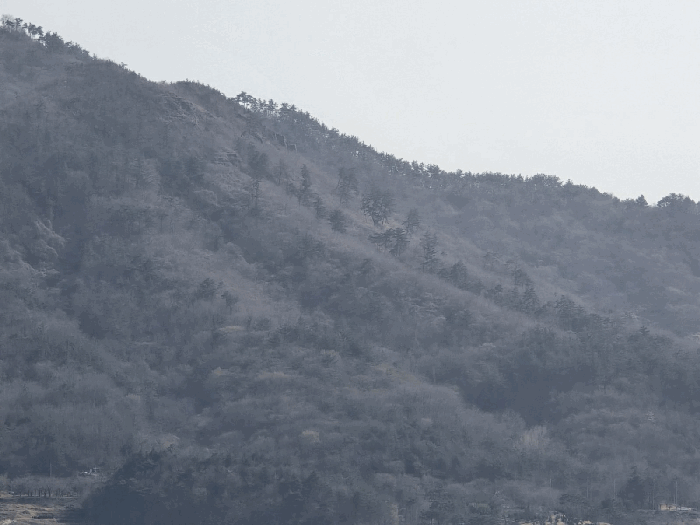 경상남도 고성군 동해면 장기리 산191 임야 경매 사진 16