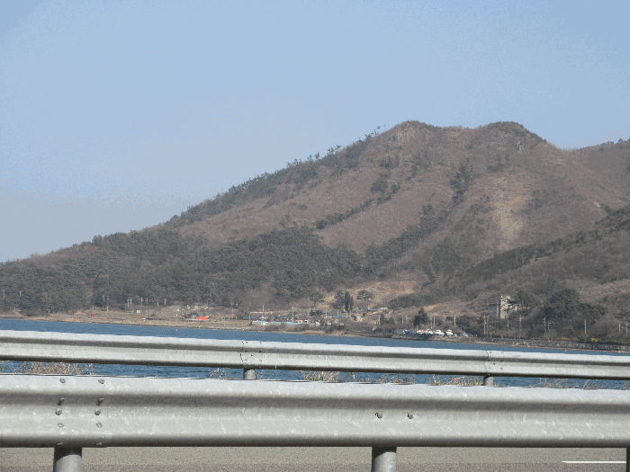 경상남도 고성군 동해면 장기리 산191 임야 경매 사진 17