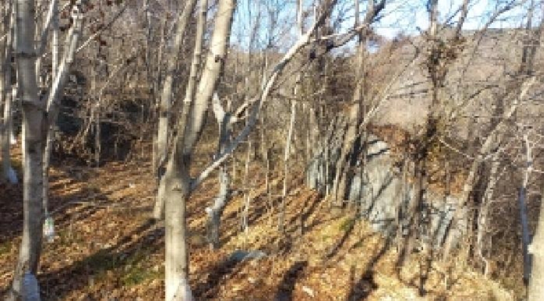 경상남도 거제시 연초면 연사리 702 외 1필지 답 경매 사진 4