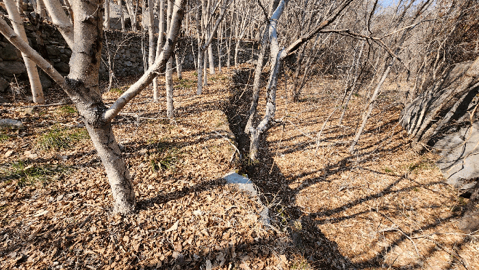 경상남도 거제시 연초면 연사리 702 외 1필지 답 경매 사진 7